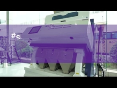 SF YEŞİL PİRİNÇ